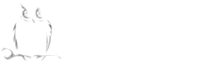 СТО БОНУС